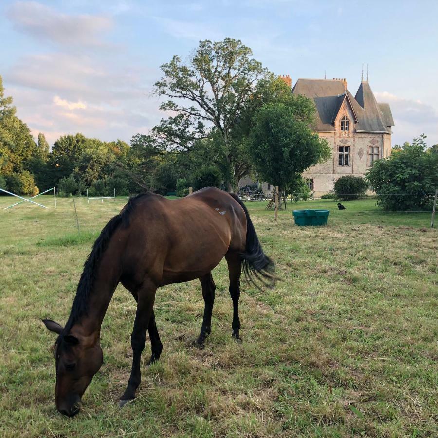 הוילה Montreuil-sur-Maine Manoir De La Chouanniere מראה חיצוני תמונה